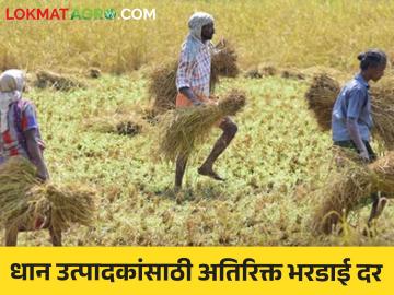 Paddy Procurement : राज्यातील धान उत्पादकांना दिलासा, आता धान भरडाईसाठी अतिरिक्त 40 रुपये दर - Marathi News | Latest News Relief to paddy producers in maharashtra, now additional rate of Rs 40 for paddy shipment | Latest News at Lokmat.com Paddy Procurement : राज्यातील धान उत्पादकांना दिलासा, आता धान भरडाईसाठी अतिरिक्त 40 रुपये दर - Marathi News | Latest News Relief to paddy producers in maharashtra, now additional rate of Rs 40 for paddy shipment | Latest News at Lokmat.com