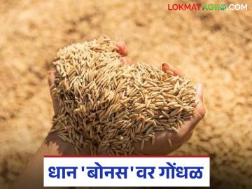 Dhan Bonus : धानाच्या बोनसवर गोंधळ; आदिवासी महामंडळाने काहींना दिला, पणन महासंघाचा शेतकऱ्यांना ठेंगा! - Marathi News | latest news Dhan Bonus : Confusion over paddy bonus; Tribal Corporation gave it to some, Marketing Federation gives farmers a hard time! | Latest News at Lokmat.com Dhan Bonus : धानाच्या बोनसवर गोंधळ; आदिवासी महामंडळाने काहींना दिला, पणन महासंघाचा शेतकऱ्यांना ठेंगा! - Marathi News | latest news Dhan Bonus : Confusion over paddy bonus; Tribal Corporation gave it to some, Marketing Federation gives farmers a hard time! | Latest News at Lokmat.com