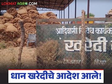 Dhan Kharedi : रब्बी धान खरेदीचे आदेश धडकले, बोनसही मिळणार, पहा धान खरेदीचे संपूर्ण वेळापत्रक - Marathi News | Rabi paddy purchase orders issued, online registration from April 1 to 30, bonus will also be available | Latest News at Lokmat.com