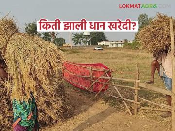 तीन दिवसांत 24 कोटी रुपयांच्या धानाची विक्री, काय भावाने खरेदी झाली, वाचा सविस्तर - Marathi News | Latest News 85 thousand quintals of paddy purchased from 62 paddy procurement centers in three days | Latest News at Lokmat.com तीन दिवसांत 24 कोटी रुपयांच्या धानाची विक्री, काय भावाने खरेदी झाली, वाचा सविस्तर - Marathi News | Latest News 85 thousand quintals of paddy purchased from 62 paddy procurement centers in three days | Latest News at Lokmat.com