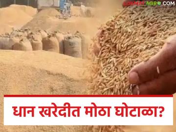 Dhan Kharedi : ४५०० नोंदणी, खरेदी फक्त ८०४; धान खरेदीत मोठा घोटाळा? - Marathi News | latest news Dhan Kharedi: 4500 registered, only 804 purchased; Big scam in paddy purchase? | Latest News at Lokmat.com