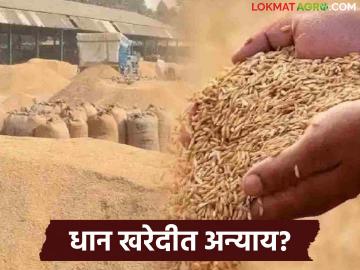 Dhan Kharedi : धान खरेदीवरून वाद; सर्वाधिक उत्पादन असलेल्या तालुक्यांना सापत्न वागणूक? - Marathi News | latest news Dhan Kharedi: Dispute over paddy procurement; Favorable treatment for talukas with highest production? | Latest News at Lokmat.com Dhan Kharedi : धान खरेदीवरून वाद; सर्वाधिक उत्पादन असलेल्या तालुक्यांना सापत्न वागणूक? - Marathi News | latest news Dhan Kharedi: Dispute over paddy procurement; Favorable treatment for talukas with highest production? | Latest News at Lokmat.com