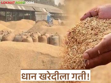 Dhan Kharedi : धान खरेदीला गती; नागपूर जिल्ह्यात पणन महासंघाची 'इतक्या' हजार क्विंटल धान खरेदी वाचा सविस्तर - Marathi News | latest news Dhan Kharedi: Paddy procurement accelerates; Marketing Federation purchases 'so many' thousand quintals of paddy in Nagpur district Read in detail | Latest News at Lokmat.com