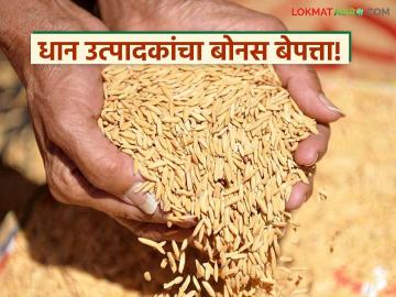 Dhan Bonus : धान उत्पादकांची होरपळ; नऊ महिने थांबूनही बोनस बेपत्ता वाचा सविस्तर - Marathi News | latest news Dhan Bonus: Panic for paddy farmers; Bonus missing despite waiting for nine months Read in detail | Latest News at Lokmat.com