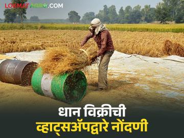 धान विक्रीसाठी व्हॉट्सॲपवरच नोंदणी करा, 48 तासांच्या आत पेमेंटही जमा होईल - Marathi News | Latest news Agriculture News Register on WhatsApp to sell paddy, payment will be received within 48 hours | Latest News at Lokmat.com