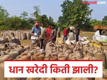 Dhan Kharedi : राज्यात एकूण उत्पादनाच्या 2.88 टक्केच धान खरेदी, जिल्हानिहाय मर्यादा ठरली अडसर - Marathi News | Latest News Paddy procurement in the state is only 2.88 percent of the total production, district-wise limit becomes an obstacle | Latest News at Lokmat.com