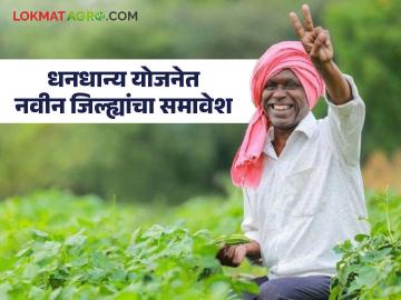 DhanDhan Yojana : कमी उत्पादनावर केंद्राची नजर; 'या' जिल्ह्याचा धनधान्य योजनेत समावेश वाचा सविस्तर - Marathi News | latest news DhanDhan Yojana: Center's eye on low production; 'This' district included in DhanDhanya Yojana Read in detail | Latest News at Lokmat.com
