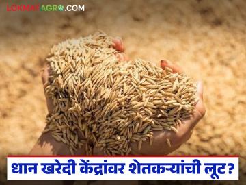 Dhan Kharedi : धान विकायचं असेल तर आधी पैसे भरा; नोंदणीच्या नावाखाली शेतकऱ्यांची लूट वाचा सविस्तर - Marathi News | latest news Dhan Kharedi: If you want to sell paddy, pay first; Read the details of farmers' loot in the name of registration | Latest News at Lokmat.com