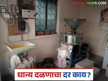 Agriculture News : 1 किलो गहू दळायला किती रुपये मोजावे लागतात? तुमच्याकडे काय दर? - Marathi News | Latest News Pith girani Aata chakki How much does it cost to grind 1 kg of wheat | Latest News at Lokmat.com