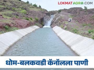 धोम-बलकवडी कालव्याला सुटलं पाणी; शेतकरी आनंदी - Marathi News | Dhom-Balakwadi canal released water; farmers being happy | Latest News at Lokmat.com