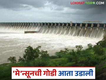 Dharashiv Dam Water : 'मे’न्सूनची गोडी आता उडाली; धाराशिवच्या प्रकल्पांत पाणी वाढ नाही वाचा सविस्तर - Marathi News | latest news Dharashiv Dam Water: 'Monsoon's sweetness has now faded; No increase in water in Dharashiv projects read in details | Latest News at Lokmat.com Dharashiv Dam Water : 'मे’न्सूनची गोडी आता उडाली; धाराशिवच्या प्रकल्पांत पाणी वाढ नाही वाचा सविस्तर - Marathi News | latest news Dharashiv Dam Water: 'Monsoon's sweetness has now faded; No increase in water in Dharashiv projects read in details | Latest News at Lokmat.com