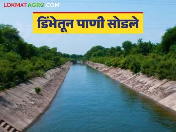 Dimbhe Dam : डिंभे धरणाच्या उजव्या कालव्याला पाणी सोडले; ५० गावांना होणार फायदा - Marathi News | Dimbhe Dam : Water released to the right canal of Dimbhe Dam; 50 villages will benefit | Latest News at Lokmat.com