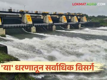 Maharashtra Dam Discharged : भंडारदरा, निळवंडे, गंगापूर धरणातून किती विसर्ग? जाणून घ्या सविस्तर  - Marathi News | Latest News Maharashtra Dam Discharged How much discharge from Bhandardara, Nilwande, Gangapur Dam Know in detail  | Latest News at Lokmat.com