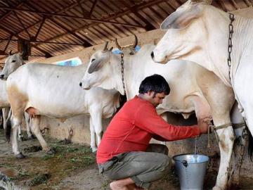 राज्यातील दुधाच्या गुणवत्ता तपासणीबाबत महत्वाचा निर्णय - Marathi News | Important decision regarding quality inspection of milk in the state | Latest News at Lokmat.com