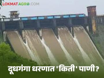 Doodhaganga Dam : यंदा दूधगंगा धरणात 'इतके' टक्के पाणी ; वाचा सविस्तर - Marathi News | Doodhaganga Dam: 'So much' percent water in Doodhaganga Dam this year; Read in detail | Latest News at Lokmat.com