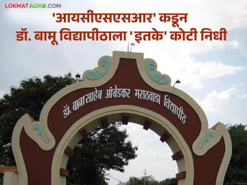 Agriculture News : विद्यापीठातील प्राध्यापक करणार बदलत्या पीक पद्धतीचा अभ्यास; शेतकऱ्यांना होणार फायदा - Marathi News | Agriculture News : University professors will study changing cropping systems; Farmers will benefit | Latest News at Lokmat.com Agriculture News : विद्यापीठातील प्राध्यापक करणार बदलत्या पीक पद्धतीचा अभ्यास; शेतकऱ्यांना होणार फायदा - Marathi News | Agriculture News : University professors will study changing cropping systems; Farmers will benefit | Latest News at Lokmat.com