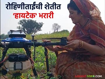Women Farmer Success Story : हातात रिमोट, आकाशात ड्रोन! लातूरच्या रोहीणीताईंची शेतीत 'हायटेक' भरारी - Marathi News | latest news Women Farmer Success Story: Remote in hand, drone in the sky! Rohini Tai of Latur takes 'high-tech' flight in agriculture | Latest News at Lokmat.com Women Farmer Success Story : हातात रिमोट, आकाशात ड्रोन! लातूरच्या रोहीणीताईंची शेतीत 'हायटेक' भरारी - Marathi News | latest news Women Farmer Success Story: Remote in hand, drone in the sky! Rohini Tai of Latur takes 'high-tech' flight in agriculture | Latest News at Lokmat.com