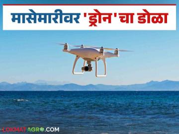 अवैध व बेकायदेशीर मासेमारीला चाप बसण्यासाठी नौकांवर ड्रोनद्वारे लक्ष - Marathi News | Drone surveillance of boats to curb illegal and unregulated fishing | Latest News at Lokmat.com अवैध व बेकायदेशीर मासेमारीला चाप बसण्यासाठी नौकांवर ड्रोनद्वारे लक्ष - Marathi News | Drone surveillance of boats to curb illegal and unregulated fishing | Latest News at Lokmat.com