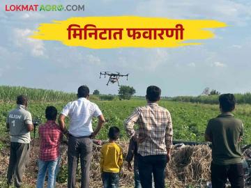 Drone Favarni : मजुरांची अडचण दूर ड्रोनच्या माध्यमातून अवघ्या ७ मिनिटात एक एकर फवारणी - Marathi News | Drone Favarni: Spraying an acre in just 7 minutes through drones overcome the labour problem | Latest News at Lokmat.com Drone Favarni : मजुरांची अडचण दूर ड्रोनच्या माध्यमातून अवघ्या ७ मिनिटात एक एकर फवारणी - Marathi News | Drone Favarni: Spraying an acre in just 7 minutes through drones overcome the labour problem | Latest News at Lokmat.com