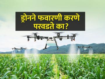 ड्रोनने फवारणी करताय, किती पैसे मोजावे लागतील? - Marathi News | How much does drone spraying cost? | Latest News at Lokmat.com