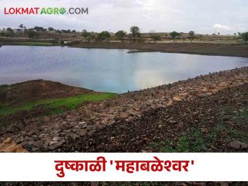 ह्या दुष्काळी तालुक्यात पडला महाबळेश्वरपेक्षा जास्त पाऊस - Marathi News | This drought affected taluka fall more rain than Mahabaleshwar | Latest News at Lokmat.com