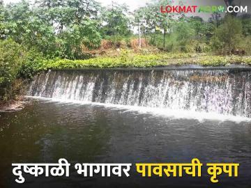 Maharashtra Rainfall यंदा मान्सून वेळेवर पण राज्यामध्ये काही भागांत अद्याप चांगल्या पावसाची प्रतीक्षाच - Marathi News | Maharashtra Rainfall: Monsoon is on time this year but some parts of the state are still waiting for good rains | Latest News at Lokmat.com
