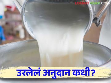 Dudh Anudan : दूध अनुदान योजना संपणार नोव्हेंबरचे अनुदान कधी मिळणार - Marathi News | Dudh Anudan : Milk subsidy scheme will end when will November subsidy be available | Latest News at Lokmat.com