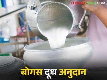 दूध अनुदान वाढीनंतर अचानक दूध संस्थाही वाढल्या; काय आहे प्रकरण? वाचा सविस्तर - Marathi News | After the increase in milk subsidy, milk institutions suddenly increased; What is the matter? Read in detail | Latest News at Lokmat.com