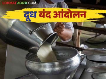 Dudh Andolan : साताऱ्यात २३ डिसेंबरपासून 'दूध बंद' आंदोलन; काय आहेत दूध उत्पादक शेतकऱ्यांच्या मागण्या - Marathi News | Dudh Andolan: 'Dudh Band' strike in Satara from 23rd December; What are the demands of milk producing farmers? | Latest News at Lokmat.com