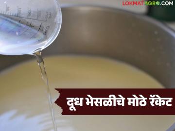 राज्यातील 'या' जिल्ह्यात दूध भेसळीचे मोठं रॅकेट; रसायन टाकून दूध दुप्पट करण्याचं जाणून घ्या प्रकरण - Marathi News | A big milk adulteration racket in this district of the state; Milk doubled in quantity by adding chemicals, what is the matter? | Latest News at Lokmat.com