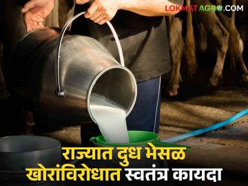 Adulterated Milk: दुध भेसळखोरांविरोधात कठोर कारवाईसाठी राज्याचा स्वतंत्र कायदा, मुख्यमंत्र्याचे आश्वासन  - Marathi News | Latest News Separate state law for strict action against milk adulterers says cm eknath shinde | Latest News at Lokmat.com