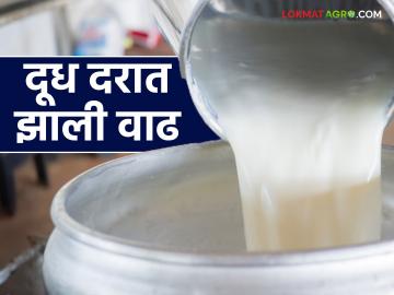 Milk Rate : दूध उत्पादकांना खुशखबर, खरेदी दरात झाली वाढ; वाचा सविस्तर - Marathi News | Milk Rate : Good news for milk producers, purchase price has increased; Read in detail | Latest News at Lokmat.com Milk Rate : दूध उत्पादकांना खुशखबर, खरेदी दरात झाली वाढ; वाचा सविस्तर - Marathi News | Milk Rate : Good news for milk producers, purchase price has increased; Read in detail | Latest News at Lokmat.com