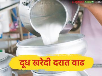 राज्यातील 'हा' दूध संघ गाय व म्हैस दूध खरेदी दरामध्ये करणार वाढ; किती रुपयांची होणार वाढ? - Marathi News | Gokul's decision to increase the purchase price of buffalo and cow milk; By how much will the increase be? | Latest News at Lokmat.com राज्यातील 'हा' दूध संघ गाय व म्हैस दूध खरेदी दरामध्ये करणार वाढ; किती रुपयांची होणार वाढ? - Marathi News | Gokul's decision to increase the purchase price of buffalo and cow milk; By how much will the increase be? | Latest News at Lokmat.com
