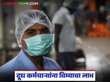 दूध संस्था कर्मचाऱ्यांना केंद्र सरकारची 'ही' योजना लागू; आता पीएफ आणि विम्याचा लाभ मिळणार - Marathi News | This scheme of the central government is applicable to milk institute employees; Now they will get PF and insurance benefits | Latest agri-business News at Lokmat.com