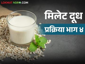Millet Milk : मिलेट मिल्क तयार करताना कुठली उपउत्पादने तयार होतात? वाचा सविस्तर - Marathi News | Latest News by-products are produced during production of millet milk Read in detail | Latest News at Lokmat.com Millet Milk : मिलेट मिल्क तयार करताना कुठली उपउत्पादने तयार होतात? वाचा सविस्तर - Marathi News | Latest News by-products are produced during production of millet milk Read in detail | Latest News at Lokmat.com