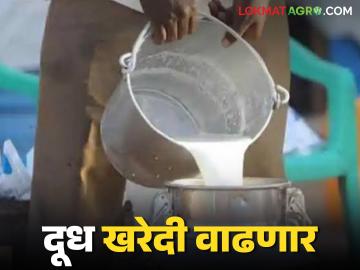 दुग्ध उत्पादकांना बाजारपेठ, तर सहकारी संस्थांकडून खरेदी, केंद्र सरकारकडून नवे पाऊल - Marathi News | Latest News Market for milk producers, procurement from cooperatives central government decision | Latest News at Lokmat.com दुग्ध उत्पादकांना बाजारपेठ, तर सहकारी संस्थांकडून खरेदी, केंद्र सरकारकडून नवे पाऊल - Marathi News | Latest News Market for milk producers, procurement from cooperatives central government decision | Latest News at Lokmat.com