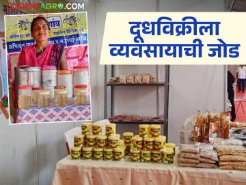 Dairy Business : कर्ज काढून गायी, म्हशी घेतल्या, आता तूप, पनीरच्या व्यवसायातुन लाखोंचा नफा  - Marathi News | Latest News Bought cows and buffaloes on loan, now making lakhs of profit from ghee and paneer business | Latest News at Lokmat.com