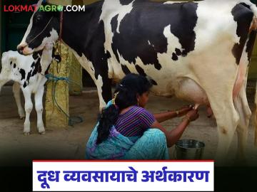 दुधाला मिळणारे अनुदान वर्षभरापासून बंद, दुधाचा जोडधंदा ठरतोय आतबट्ट्याचा, वाचा सविस्तर  - Marathi News | Latest News Milk subsidy stopped for year, milk business down market read in detail | Latest agri-business News at Lokmat.com