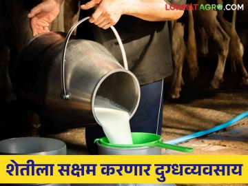 Dairy Business : दुग्धव्यवसायाला मिळणार गती ! - Marathi News | Dairy Business : Dairy business will gain momentum! | Latest News at Lokmat.com