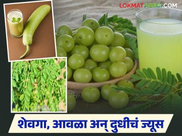 Healthy Juice : हिवाळ्यात फायदेशीर ठरतील शेवगा, आवळा अन् दुधीच्या ज्यूसचे 'हे' पाच फायदे