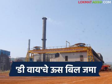 डी. वाय पाटील कारखान्याचे जानेवारीअखेर पर्यंतचे ऊस बिल जमा; अखेर प्रतिटन काय दिला दर? - Marathi News | D. Y. Patil factory's sugarcane bill till the end of January has been deposited; what was the final price per ton paid? | Latest News at Lokmat.com डी. वाय पाटील कारखान्याचे जानेवारीअखेर पर्यंतचे ऊस बिल जमा; अखेर प्रतिटन काय दिला दर? - Marathi News | D. Y. Patil factory's sugarcane bill till the end of January has been deposited; what was the final price per ton paid? | Latest News at Lokmat.com