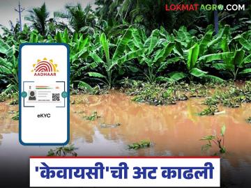 राज्य सरकारने पूरग्रस्तांसाठी जाहीर केलेल्या मदतीसाठी शेतकऱ्यांना आता ईकेवायसी मधून सूट - Marathi News | Farmers are now exempted from EKYC for the assistance announced by the state government for flood victims. | Latest News at Lokmat.com राज्य सरकारने पूरग्रस्तांसाठी जाहीर केलेल्या मदतीसाठी शेतकऱ्यांना आता ईकेवायसी मधून सूट - Marathi News | Farmers are now exempted from EKYC for the assistance announced by the state government for flood victims. | Latest News at Lokmat.com