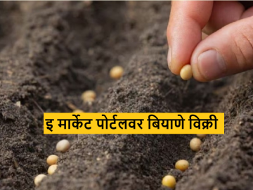 Agriculture News : सरकारी इ मार्केट पोर्टलवर बियाण्यांच्या 170 श्रेणी विक्रीसाठी दाखल, वाचा सविस्तर - Marathi News | Latest News Agriculture News 170 categories of seeds listed for sale on government and market portal | Latest News at Lokmat.com