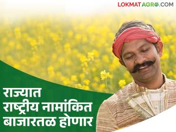 राज्यातील 'या' प्रकारच्या बाजार समित्यांना राष्ट्रीय दर्जा मिळण्याचा मार्ग मोकळा; कसा होणार फायदा? - Marathi News | The path is paved for 'this' type of market committees in the state to get national status; How will they benefit? | Latest News at Lokmat.com राज्यातील 'या' प्रकारच्या बाजार समित्यांना राष्ट्रीय दर्जा मिळण्याचा मार्ग मोकळा; कसा होणार फायदा? - Marathi News | The path is paved for 'this' type of market committees in the state to get national status; How will they benefit? | Latest News at Lokmat.com