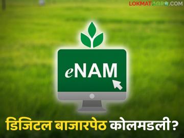 e-NAM Scheme : डिजिटल योजना ठप्प! वसमत बाजारात पुन्हा जुनाच खेळ सुरू? - Marathi News | latest news e-NAM Scheme: Digital scheme stalled! Is the old game starting again in the Vasmat market? | Latest News at Lokmat.com e-NAM Scheme : डिजिटल योजना ठप्प! वसमत बाजारात पुन्हा जुनाच खेळ सुरू? - Marathi News | latest news e-NAM Scheme: Digital scheme stalled! Is the old game starting again in the Vasmat market? | Latest News at Lokmat.com