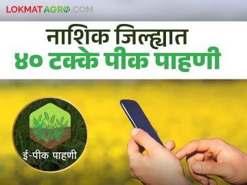 E Pik Pahani : नाशिक जिल्ह्यातील शेतकरी ई-पीक पाहणीकडे पाठ का करत आहेत, वाचा सविस्तर  - Marathi News | Latest News E Pik Pahani farmers in Nashik district turning to e-crop monitoring, read in detail | Latest News at Lokmat.com