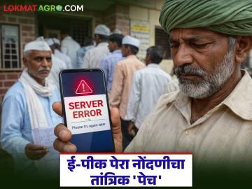 E-Peek Pahani : सातबारा 'निरंक' दिसतोय? मग बँक पीक कर्ज देणार नाही; ई-पीक नोंदणीचा तांत्रिक फटका बसणार - Marathi News | latest news E-Peek Pahani: Does the seventh grade look 'unranked'? Then the bank will not give crop loans; E-Peek registration will suffer a technical setback | Latest News at Lokmat.com