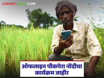 E-Peek Pahani Offline : ऑफलाइन पीकपेरा नोंदणी; 'या' तारखांना होणार पाहणी व अहवाल - Marathi News | latest news E-Peek Pahani Offline: Offline crop sowing registration; Inspection and report will be done on 'these' dates | Latest News at Lokmat.com