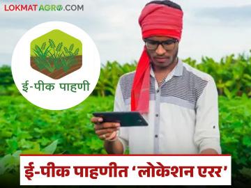 E-Pik Pahani : लोकेशन एररमुळे ई-पीक पाहणी रखडली; सहायकांची डोकेदुखी वाढली - Marathi News | latest news E-Pik Pahani: E-Pik survey delayed due to location error; Assistants' headaches increased | Latest News at Lokmat.com E-Pik Pahani : लोकेशन एररमुळे ई-पीक पाहणी रखडली; सहायकांची डोकेदुखी वाढली - Marathi News | latest news E-Pik Pahani: E-Pik survey delayed due to location error; Assistants' headaches increased | Latest News at Lokmat.com