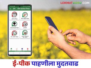 E Pik Pahani : ई-पीकपाहणी करायची राहिली.. काळजी करू नका आला हा नवीन निर्णय - Marathi News | E Pik Pahani : E-pik pahani remains to be done don't worry this new decision came | Latest News at Lokmat.com